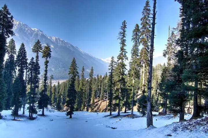 Trek through Kashmir Valley, Pahalgam