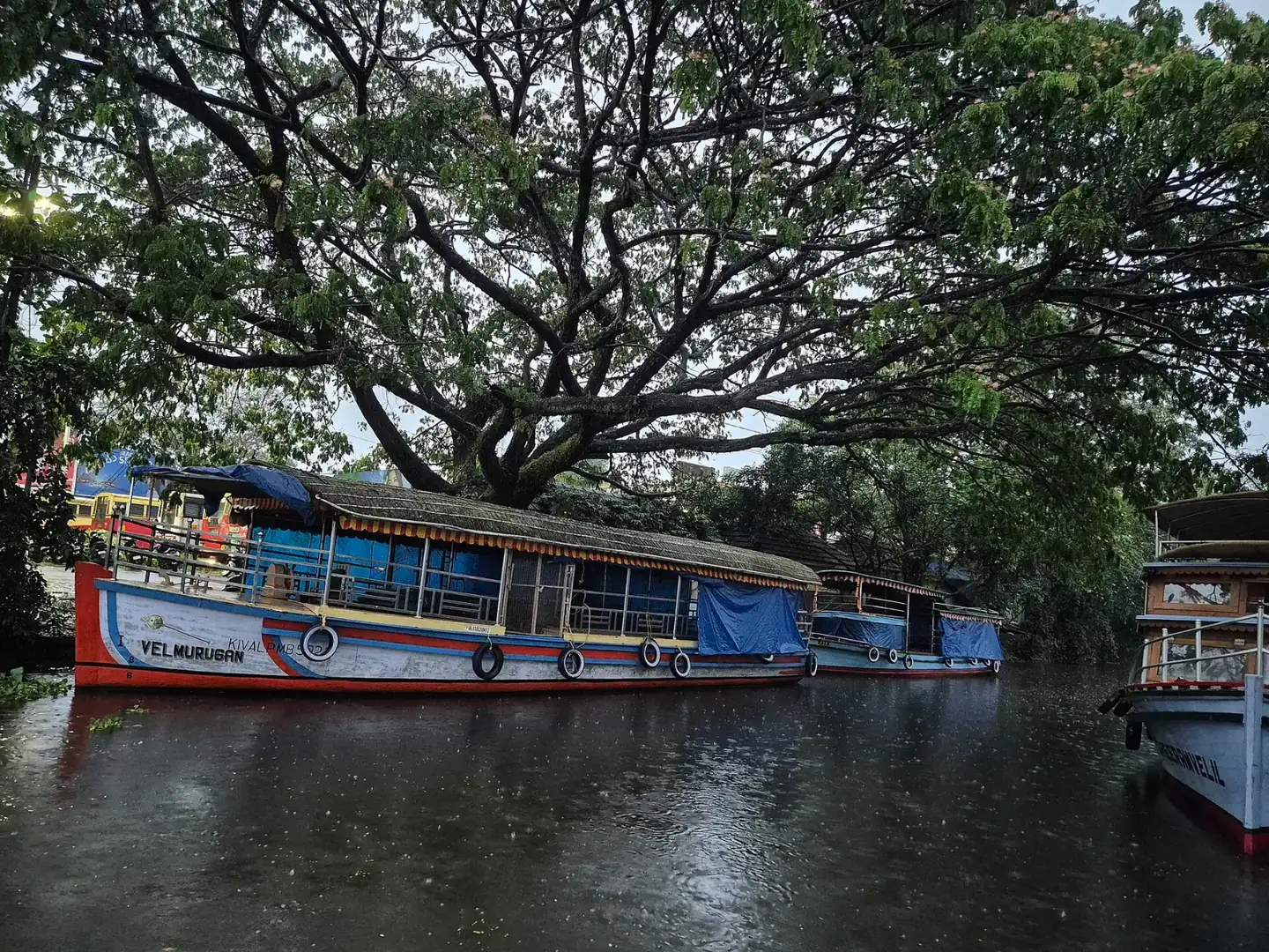 Canal at Alappuzha