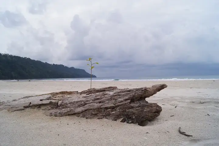 Radhanagar Beach in the Andaman Islands