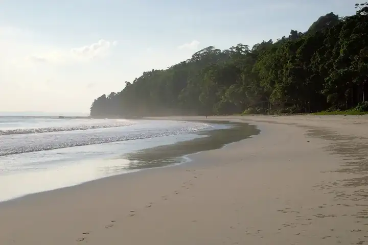Havelock Island, Radhanagar Beach before sunset, Andaman Islands