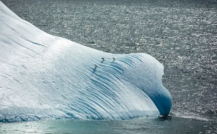 Antarctica Peninsula Cruise Adventure From Ushuaia