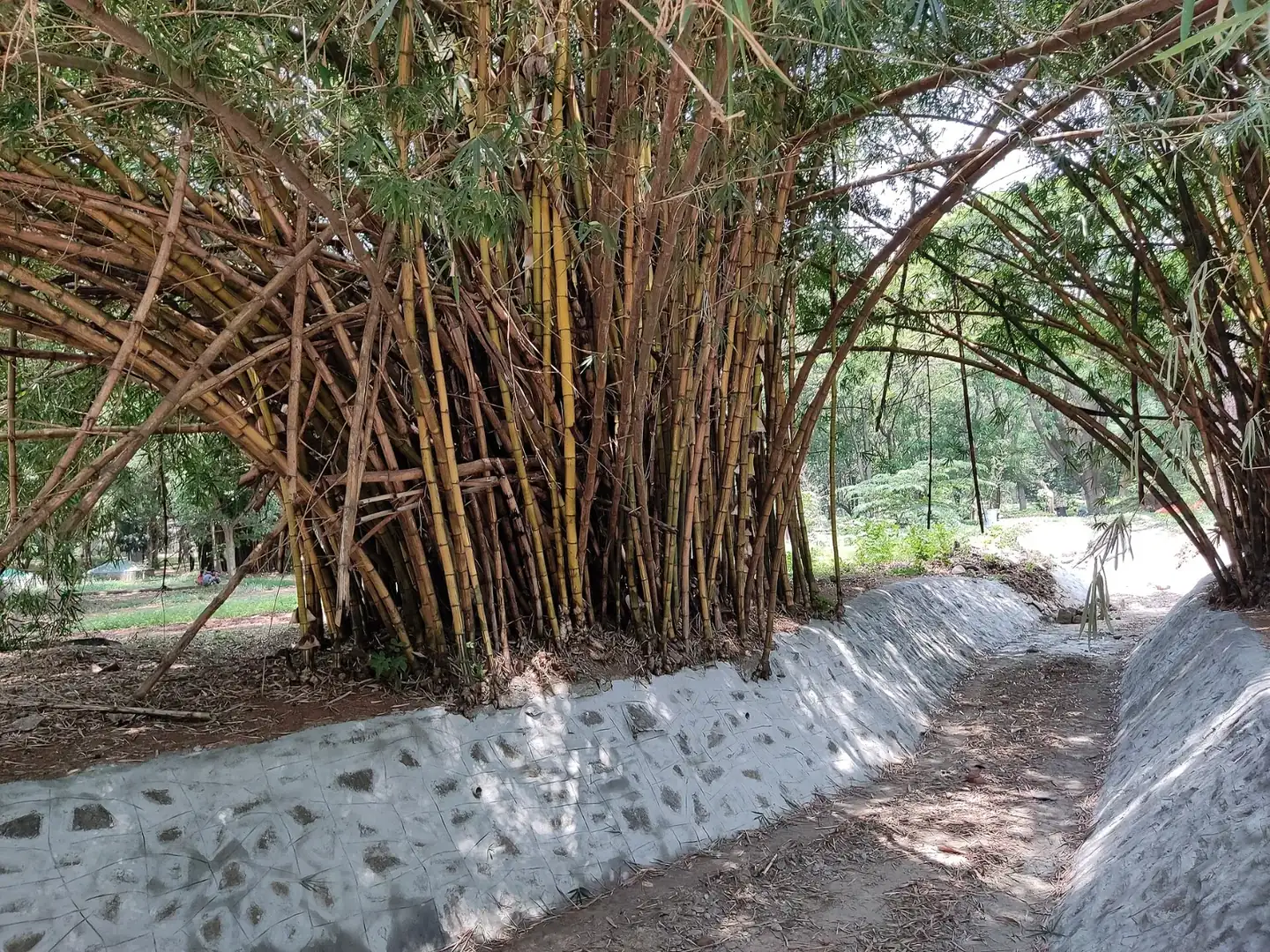 Cubbon Park