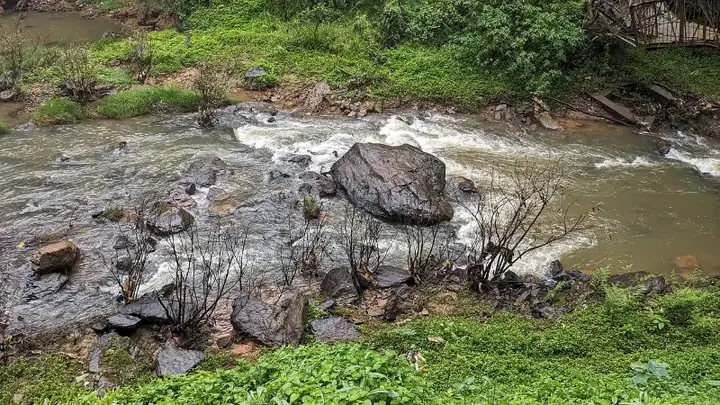 Abbey falls