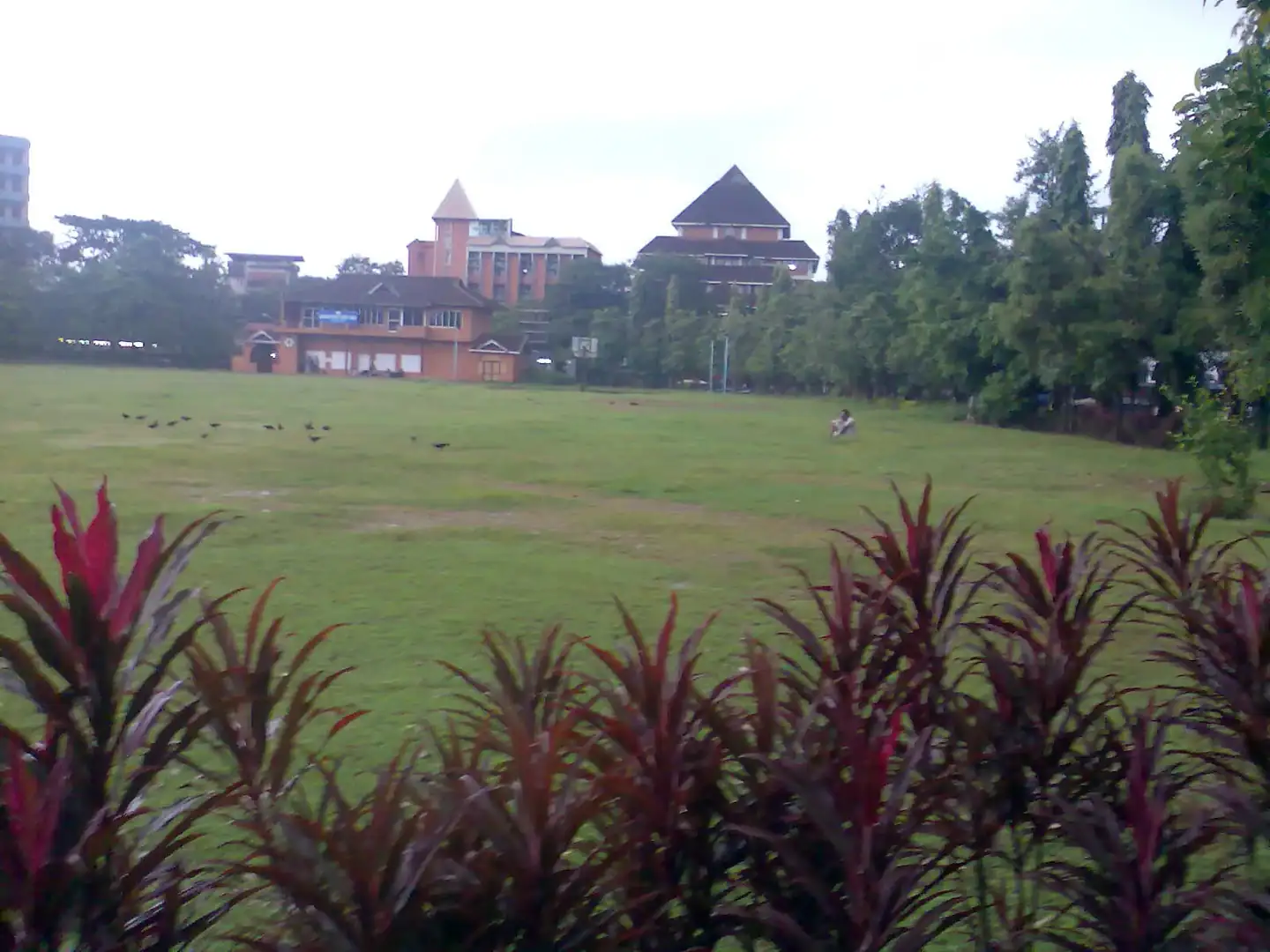 Mananchira Ground