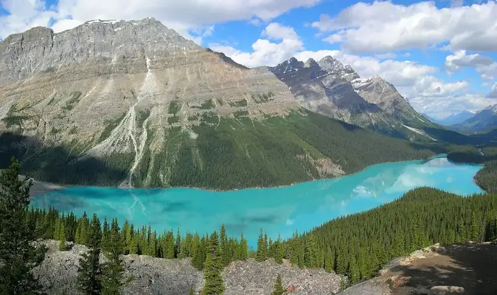 Peyto Lake Banff NP Canada