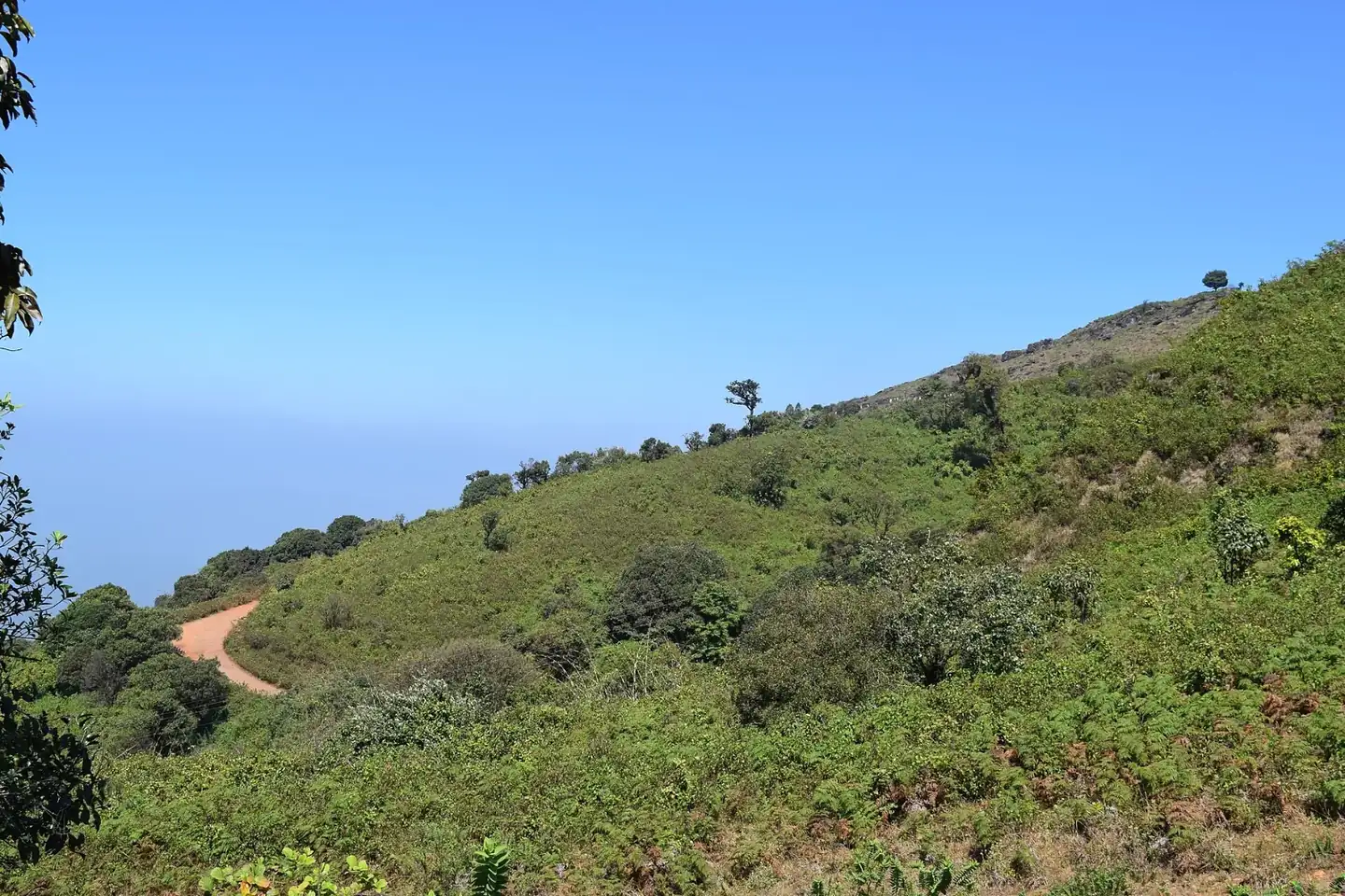 Mullayanagiri Peak