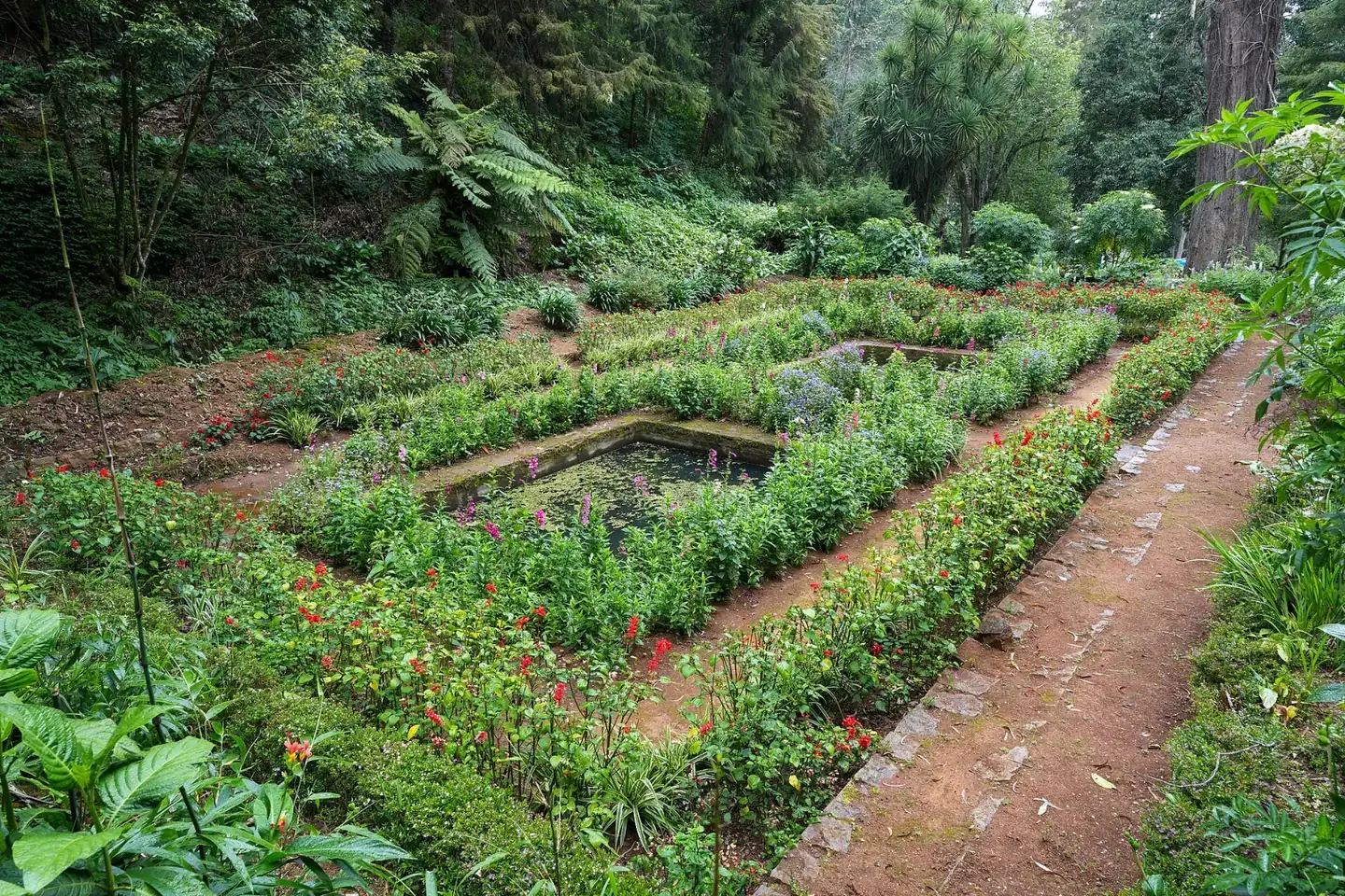 Sunken Garden Botanical Garden Ooty