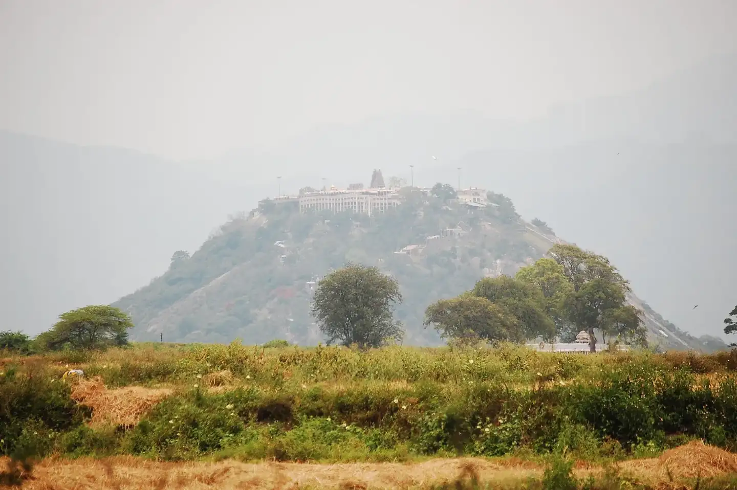 Arulmigu Dhandayuthapani Swamy Temple in Palany hill