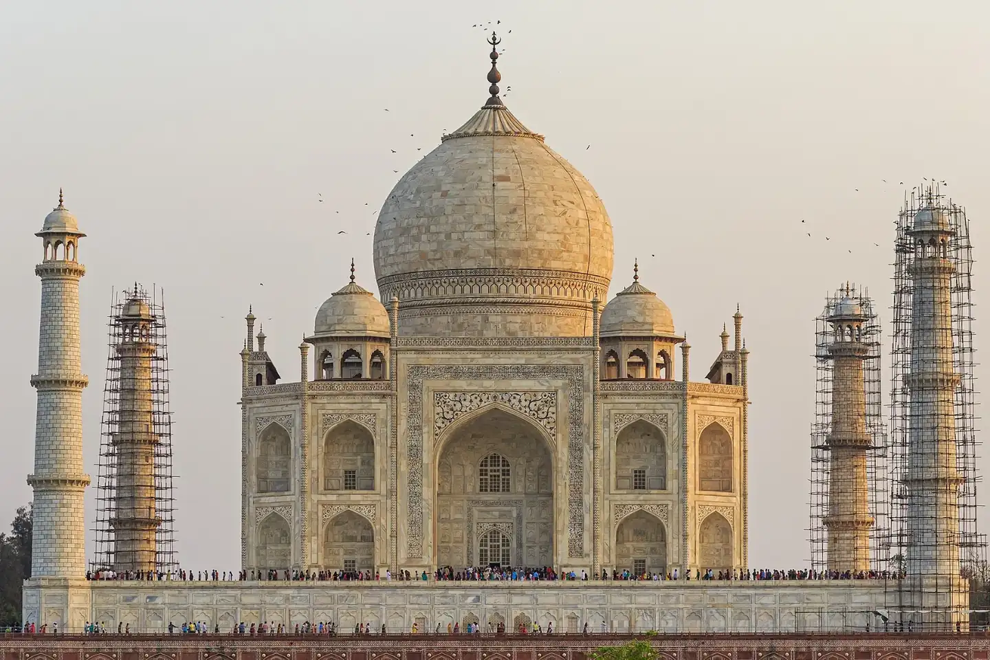 Agra 03-2016 Taj Mahal from Mehtab Bagh