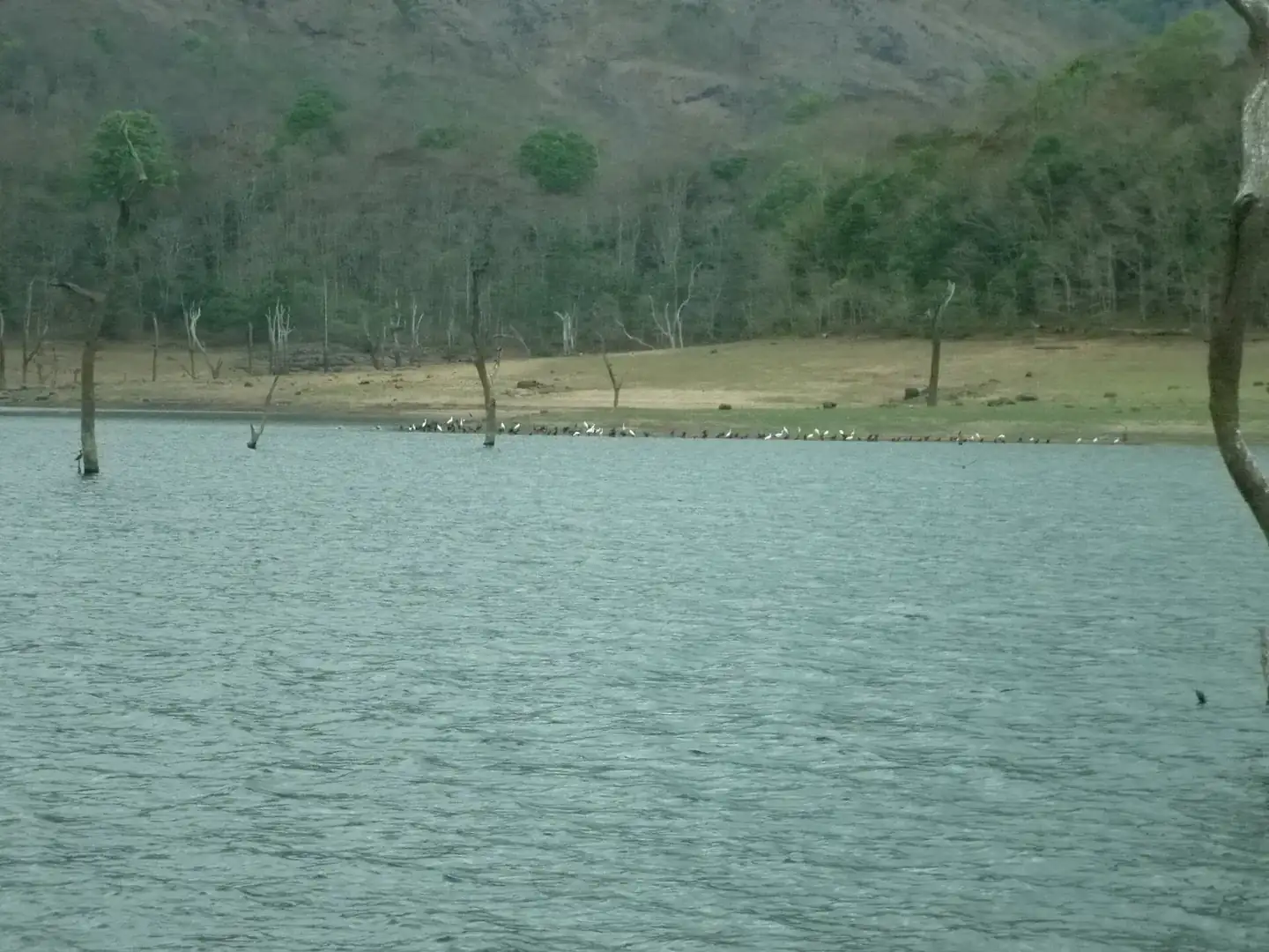Thekkady Mullaperiyar Lake in Periyar Tiger Reserve