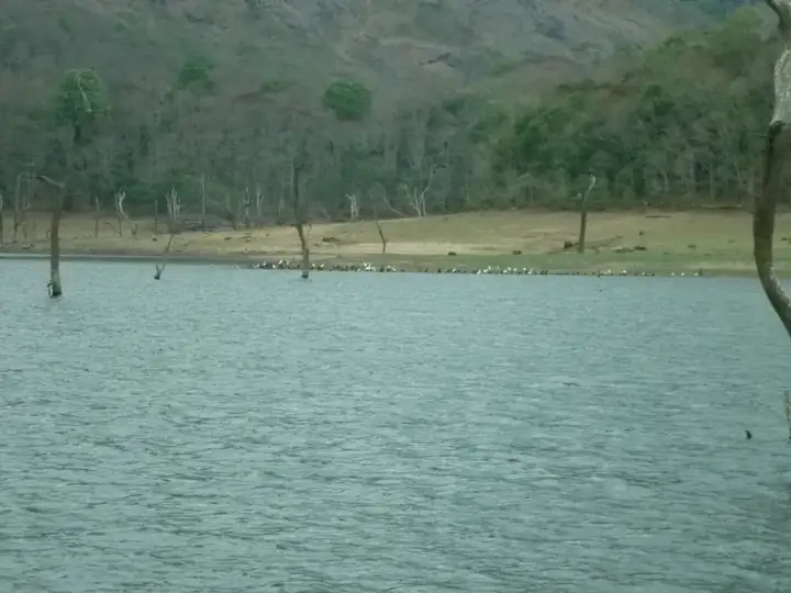 Thekkady Mullaperiyar Lake in Periyar Tiger Reserve