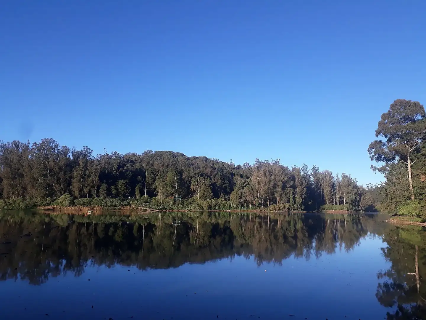 Ooty Lake in Tamil Nadu