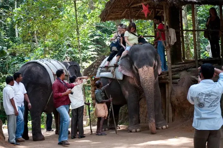 Elephant rides in Thekkady