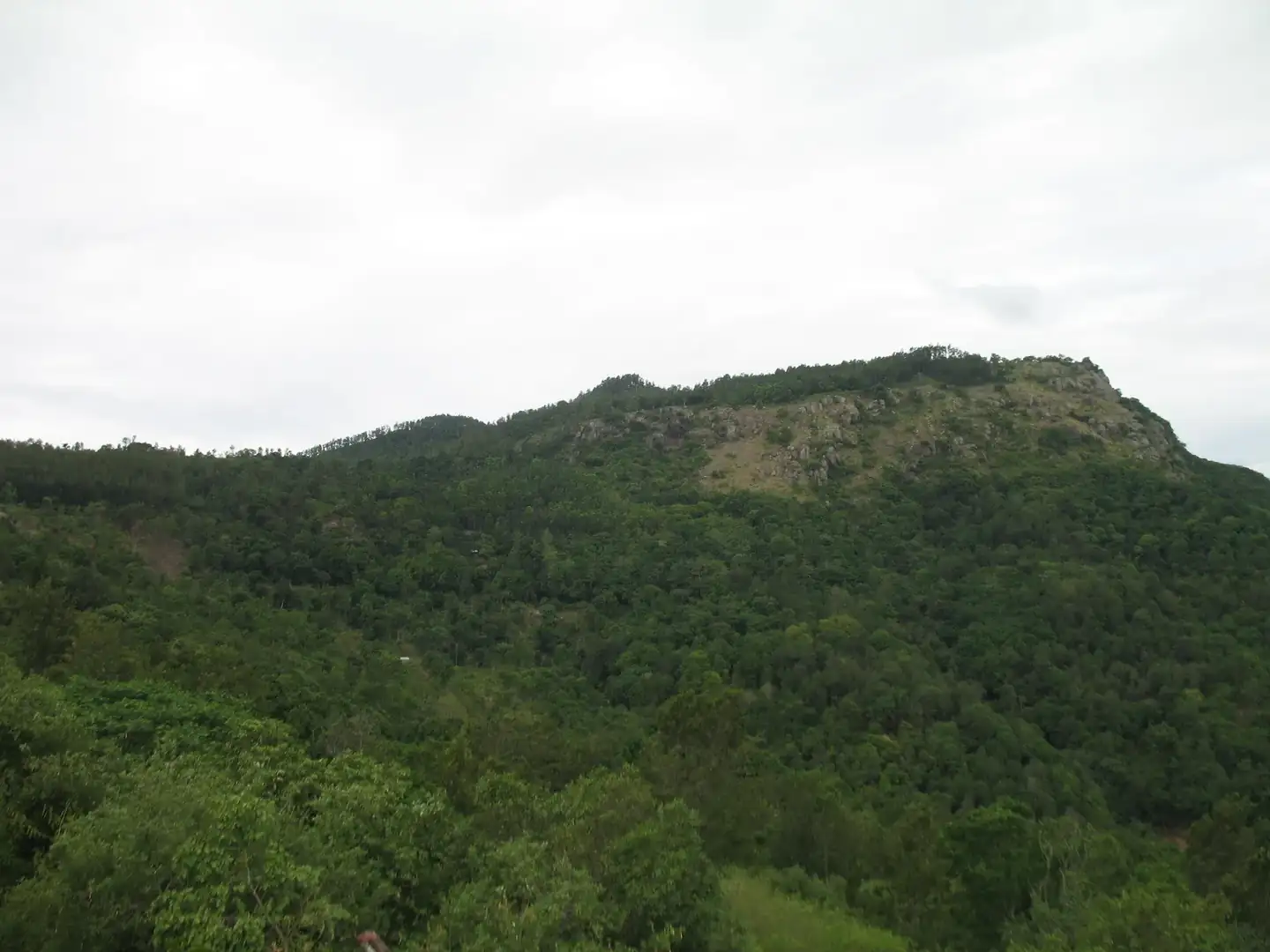 Trichy to Dindigul