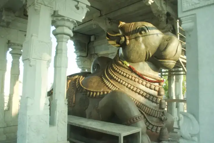 Bull or Nandi a replica of Thanjavur Nandi in Orikkai Mamimandapam