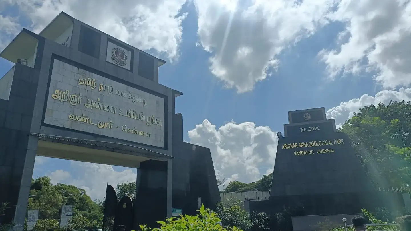 Arignar Anna Zoological Park, Vandalur chennai