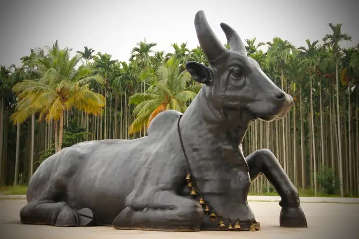 Isha Yoga Center - Bull
