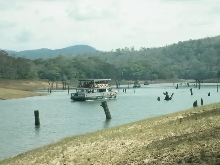 Thekkady Boating