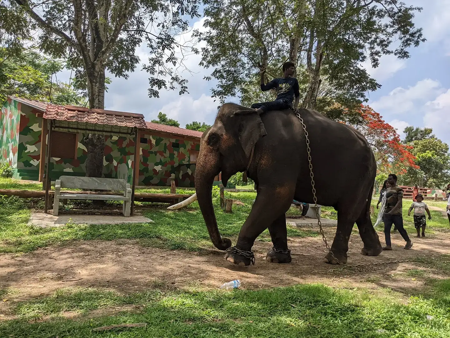 Dubare elephant camp