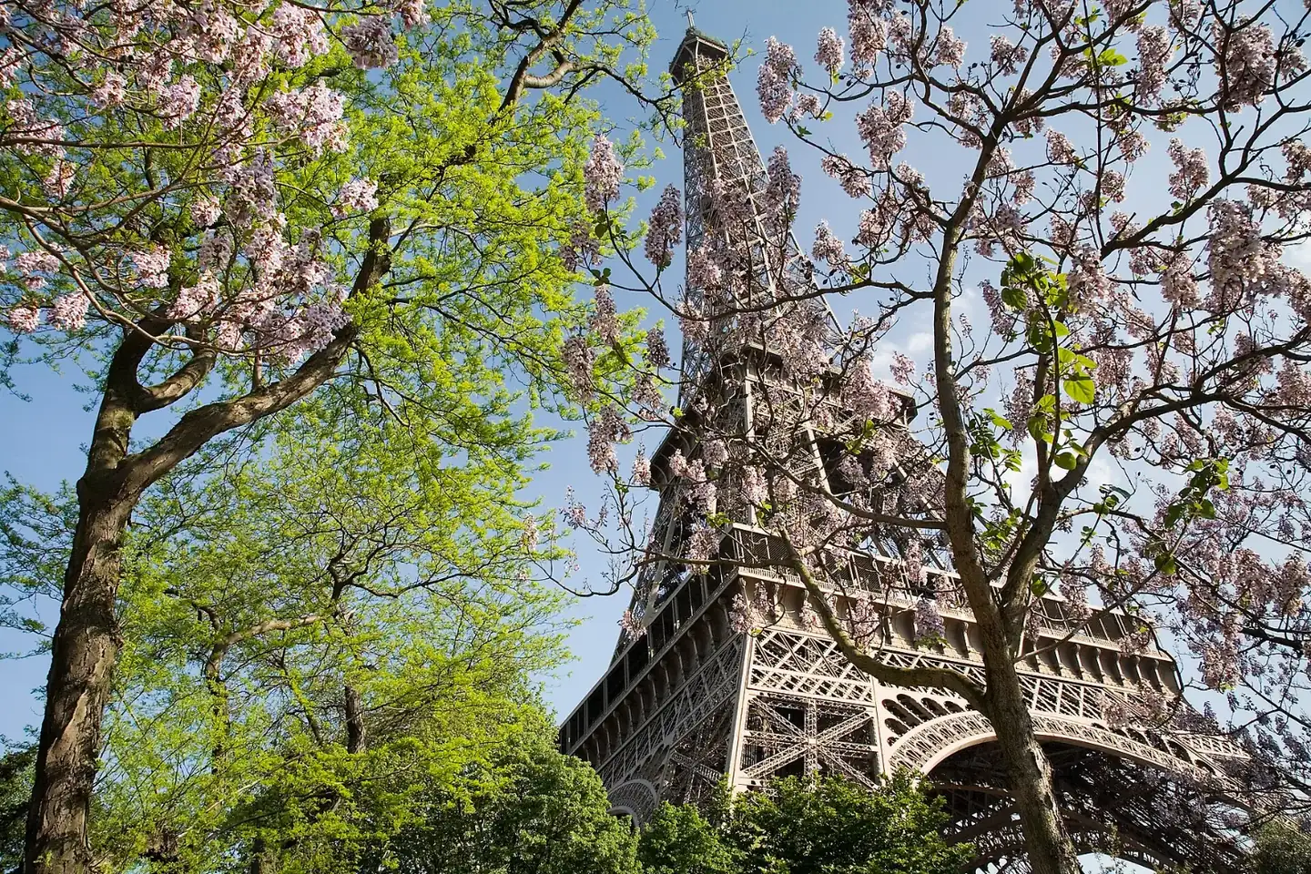 Paris - The Eiffel Tower in spring