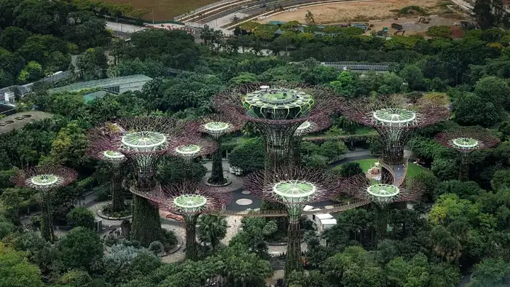 Supertree Grove, Gardens by the Bay