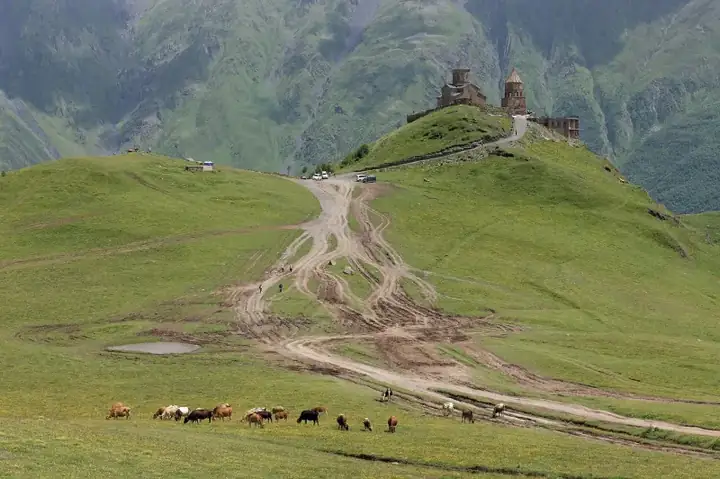 Gergeti Trinity Church, Mountain pasture, Georgia