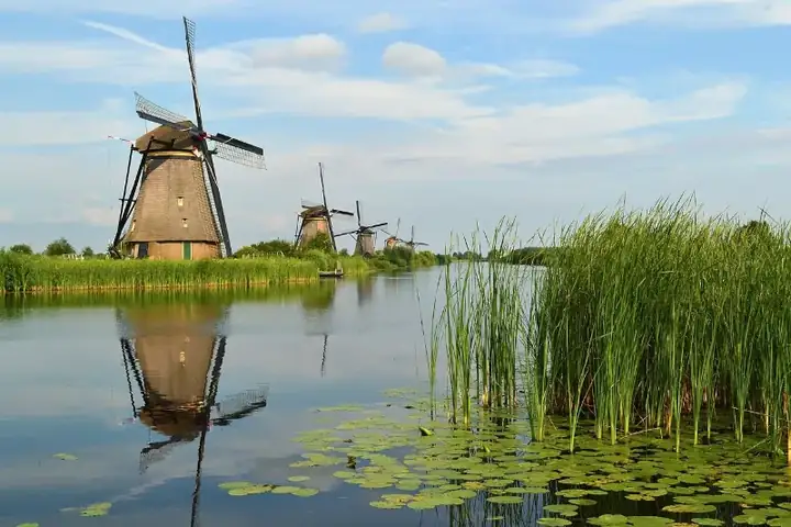 The windmills of Kinderdijk