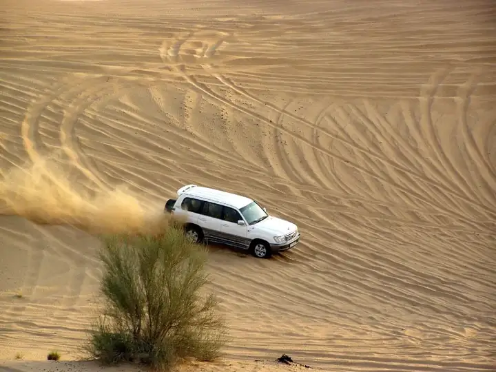 Desert Safari - Dubai