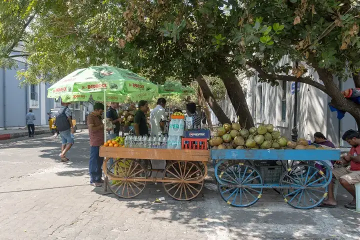Pondicherry French Quarter