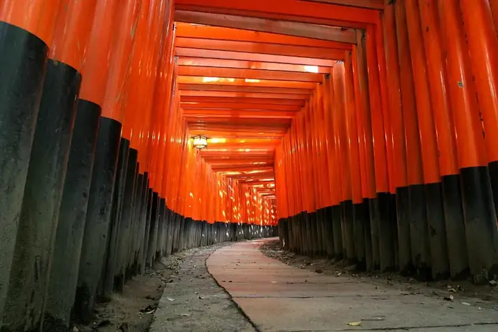 Holiday in Fascinating Tokyo Tour Packages