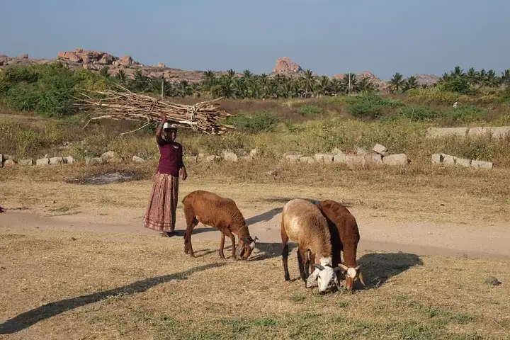 Hampi, Woman, Karnataka, India