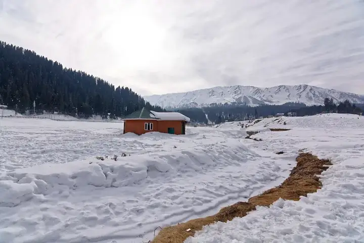 Kashmir Tour