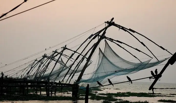 Chinese fishingnet kochi