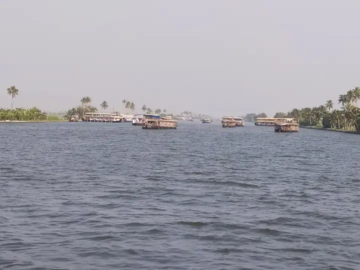 Houseboats in Alleppey Backwaters