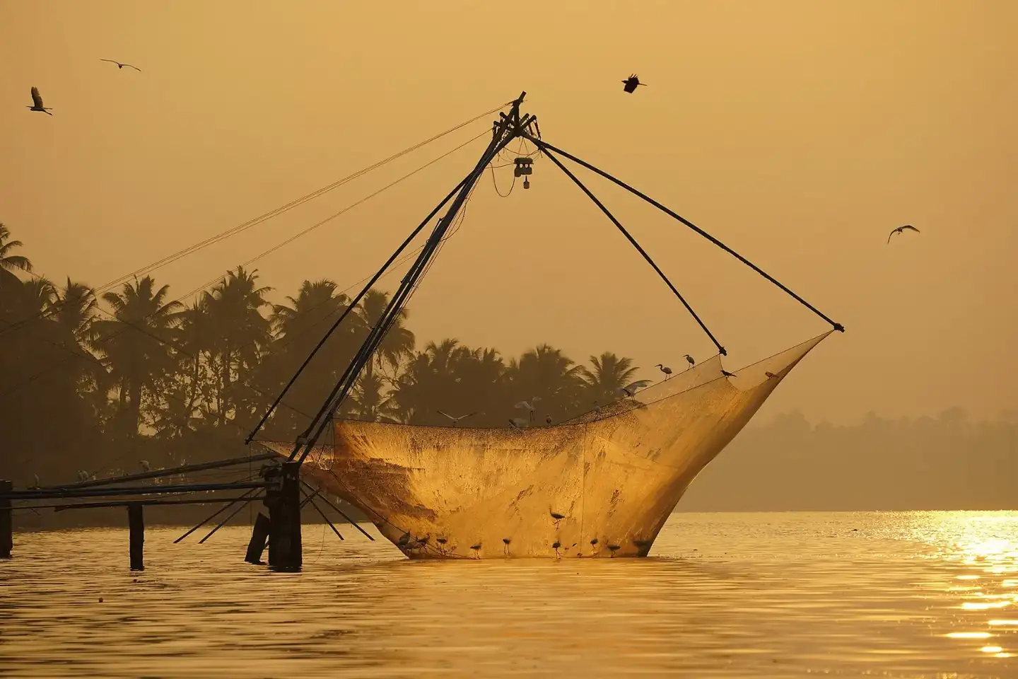 Chinese Fishing Net Raising Birds Sunrise Ashtamudi Kollam