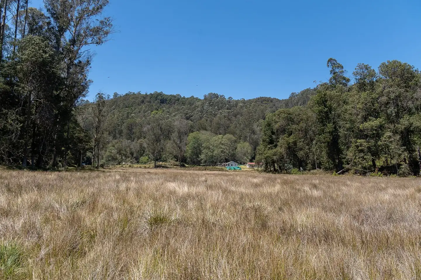 Kodaikanal Wildlife Sanctuary Kodaikanal Silent Berijam Lake