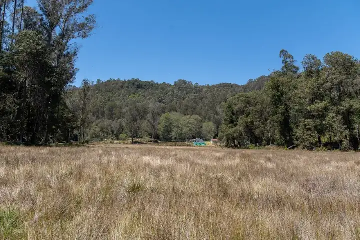 Kodaikanal Wildlife Sanctuary Kodaikanal Silent Berijam Lake