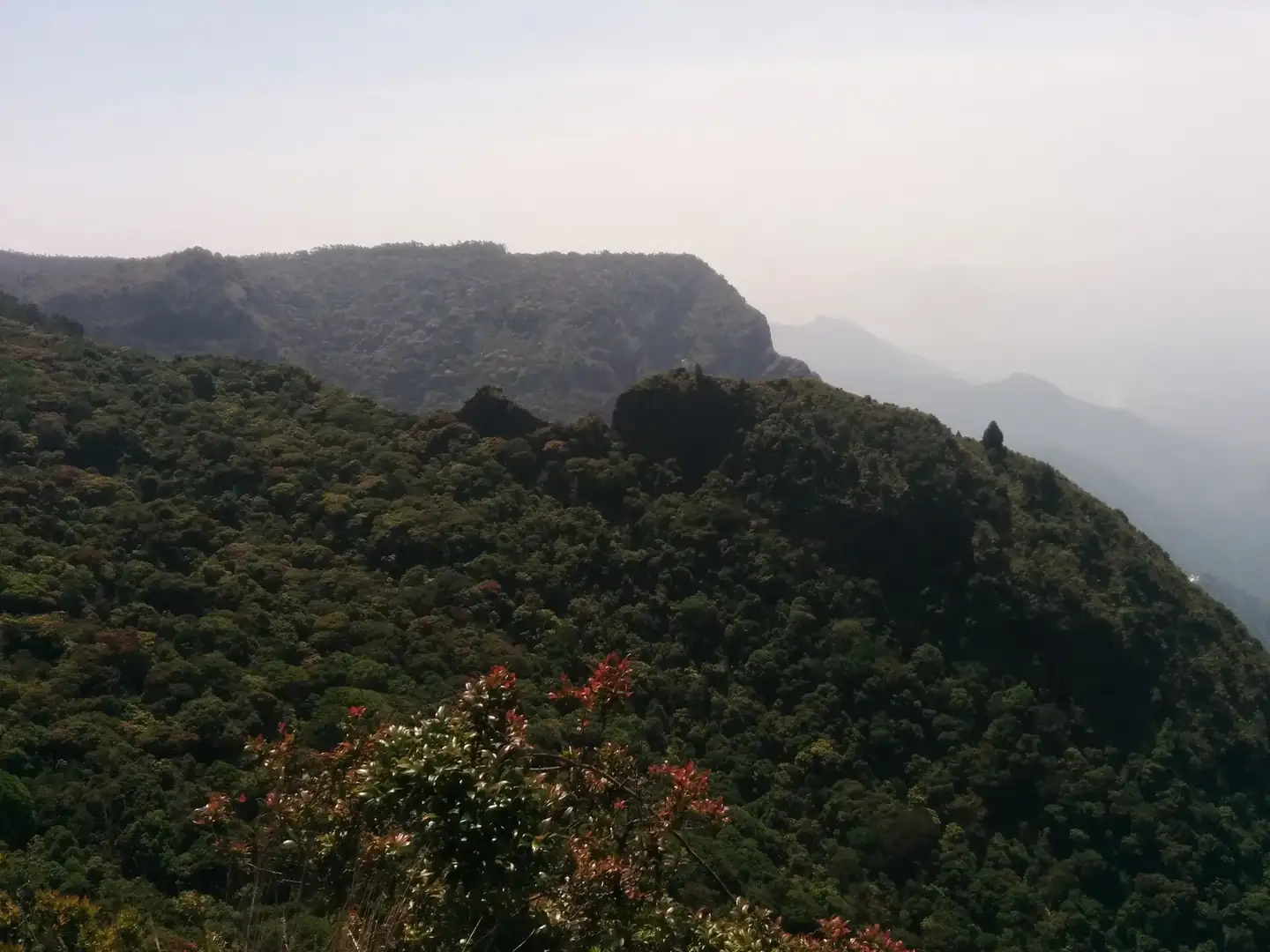 Kodaikanal India