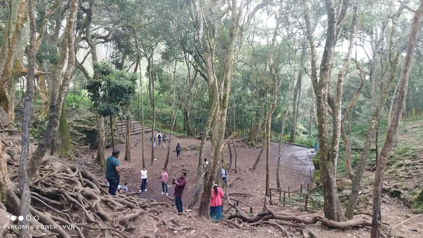 Guna Caves kodaikanal