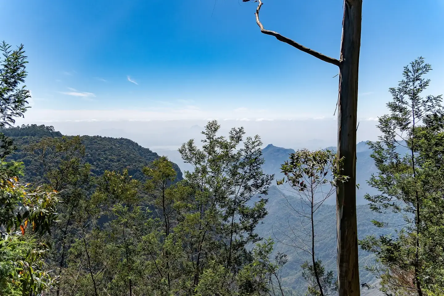 Kodaikanal Wildlife Sanctuary Kodaikanal Silent Valley View