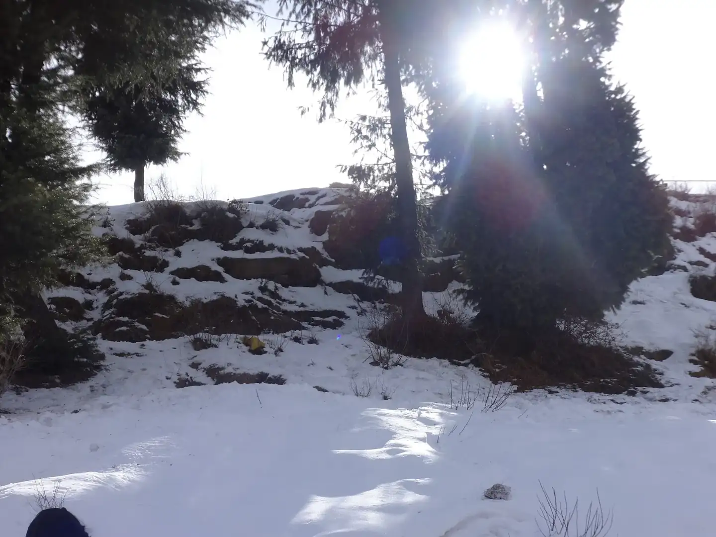 Snow Kufri hills