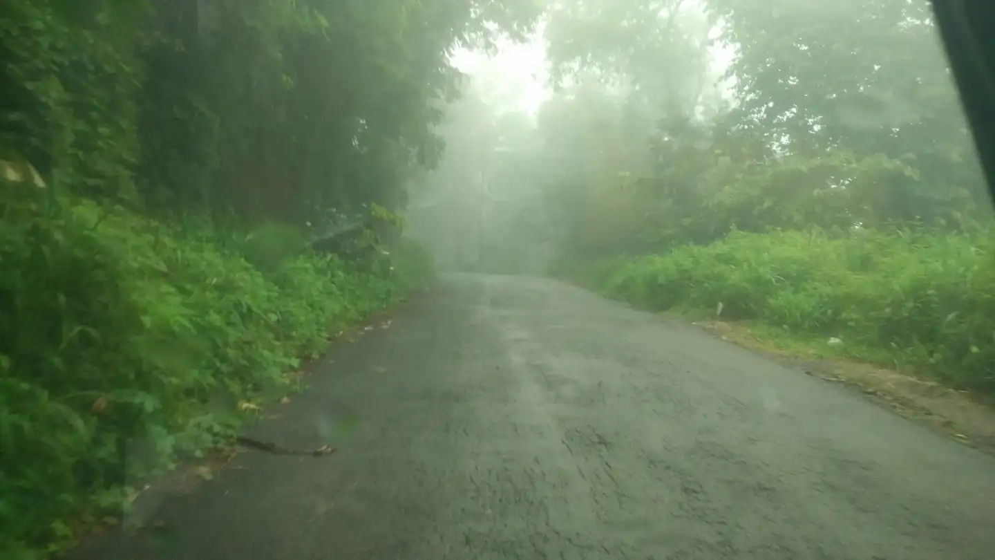 Frost in Malappuram Mini Ooty