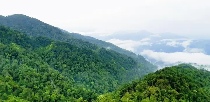 The Beauty of Genting Highlands