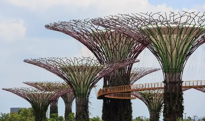 Singapore Supertree Grove in The