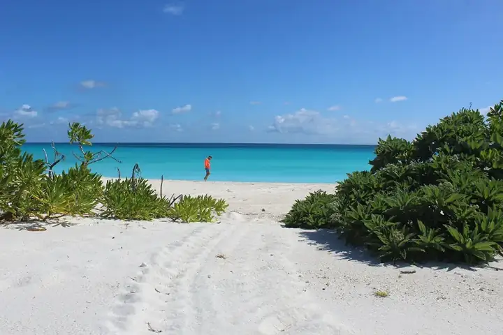 Mauritius with Dubai
