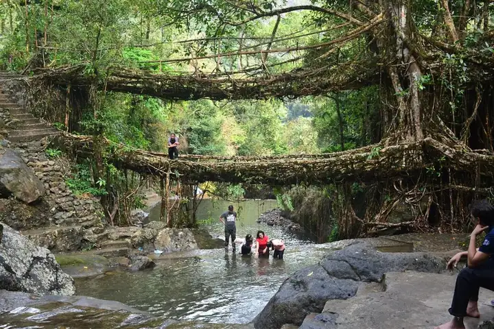Double decker living root bridge