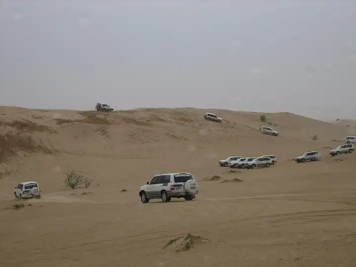 Desert safari