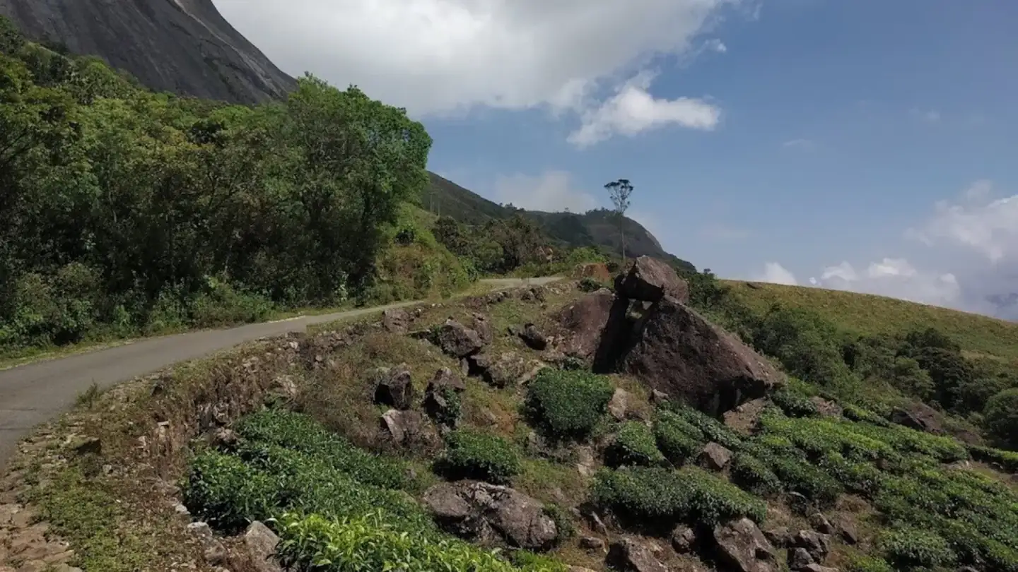 Munnar -Eravikulam National park road