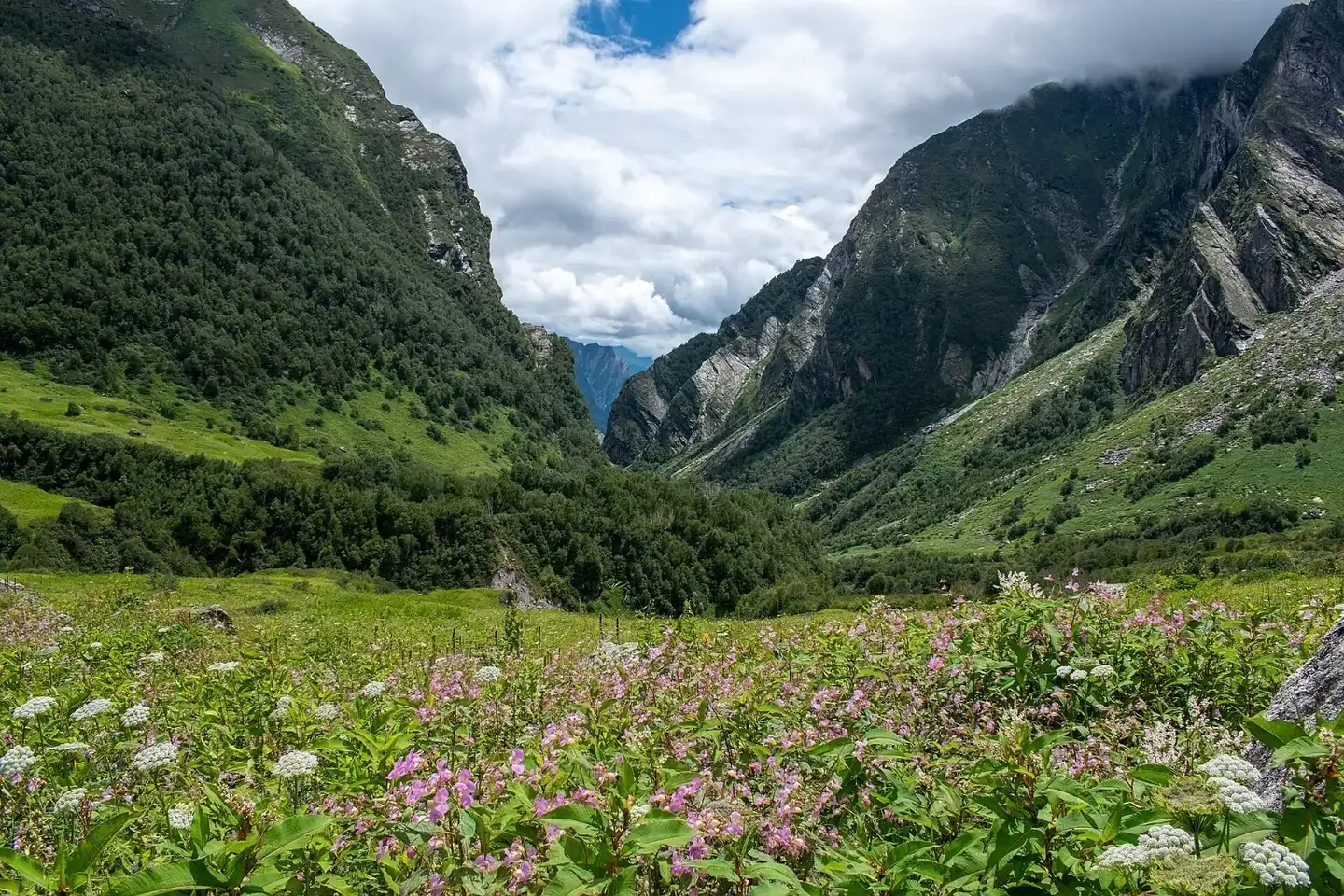 Valley of flowers national park, Uttarakhand, India