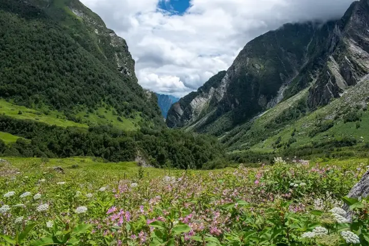 Valley of flowers national park, Uttarakhand, India